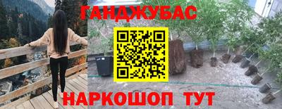 PSILOCYBIN Балашиха