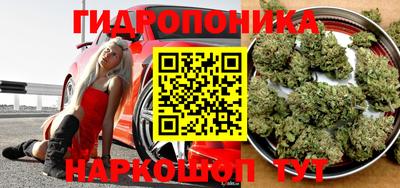 ешки Балаково