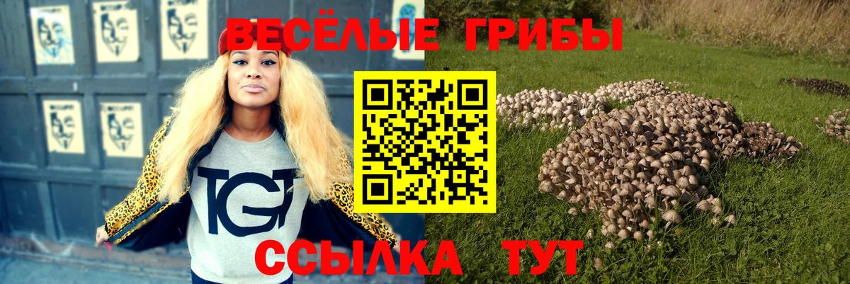 Псилоцибиновые грибы Magic Shrooms  Вход с VPN  наркотики  Ахтубинск 