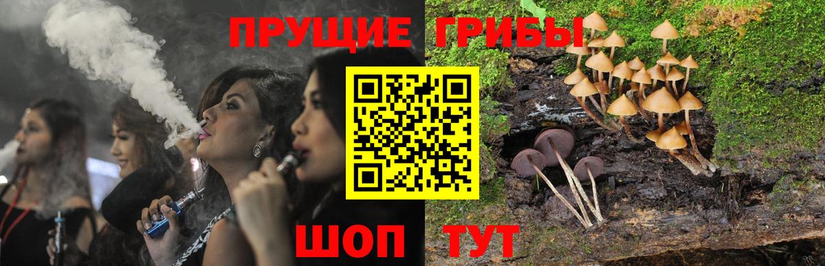 Псилоцибиновые грибы мухоморы Ахтубинск
